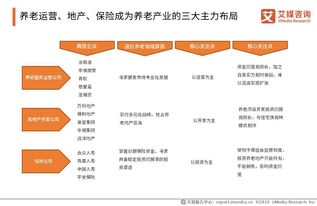 国家应对人口老龄化制度框架初步建立,2019中国养老产业商业模式分析